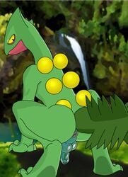 2017 animal_genitalia anthro anus ass balls barefoot claws detailed_background feral foreskin forest humanoid_penis lizard looking_at_viewer lusarthel male nintendo outside penis perineum pokemon pokemon_(species) presenting presenting_anus presenting_hindquarters raised_tail rear_view reptile scalie sceptile solo spreading toes tree uncut video_games yellow_eyes