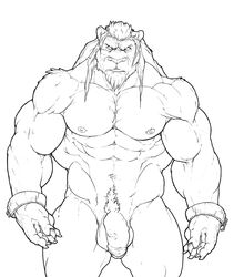 anthro balls feline knuxlight lion male male_only mammal penis sketch solo