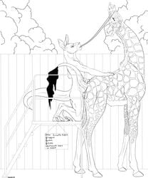 anthro anthro_on_feral backlash91 black_and_white conditional_dnp english_text eyewear feral giraffe glasses kangaroo line_art long_neck looking_pleasured mammal marsupial monochrome nude penetration reins rufus_black side_view sign signature size_difference small_dom_big_sub standing text vaginal_penetration vaginal_penetration zoophilia