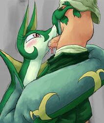 pokemon (species) from nintendo by cumminham
