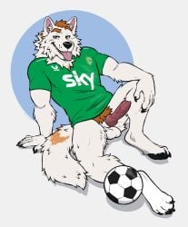 2025 animal_genitalia animal_penis anthro ball balls bottomless bottomless_anthro bottomless_male canid canine canine_genitalia canine_penis canis clothed clothing domestic_dog erection fur genitals green_eyes hair hi_res jersey knot knotted_penis labradorszn male male_anthro mammal muscular muscular_anthro muscular_male open_mouth open_smile orange_body orange_fur orange_hair pawpads penis pink_penis sheath shirt simple_background sitting smile smiling_at_viewer soccer_ball soccer_jersey solo tail teeth tongue tongue_out topwear vein veiny_penis whisker_spots white_body white_fur