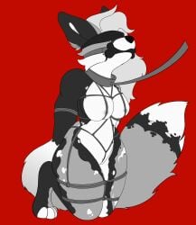 absurd_res ananke anthro arms_tied arms_tied_behind_back barely_visible_genitalia barely_visible_vulva blindfold bondage bone_gag bound breasts canid canine cheek_tuft cloth_blindfold collar crotch_rope digital_media_(artwork) facial_tuft female fox fully_bound fur fur_markings gag gagged genitals greyscale hair hi_res kneeling leash leashed_collar legs_tied legs_together light_hair mammal markings mia_(paetinii) monochrome nipples nude paws red_background restraints rope rope_bondage rope_harness simple_background solo spots spotted_markings submissive submissive_anthro submissive_female tail tail_markings thick_thighs tuft vulva