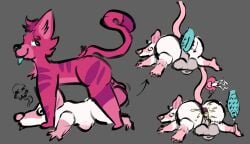 anal anal_sex anus balls big_balls bodily_fluids cum duo felid feral fur gaping gaping_anus genital_fluids genitals impregnation kurzaen_(character) lying male male/male mammal murid murine on_front ovum penetration penile penile_penetration penis penis_in_ass pregnant pregnant_male rat ratrat13 rodent sperm_cell spiked_penis spikes spikes_(anatomy) standing striped_body stripes tongue tongue_out vlad_cool