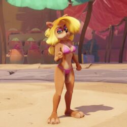 accurate_art_style belly_button big_breasts bikini blonde_female blonde_hair chest claws crash_(series) curvy curvy_female curvy_figure feet female female_only front_view furry furry_female green_eyes knees legs long_hair paws sand semi_nude sensual sexy tawna_bandicoot
