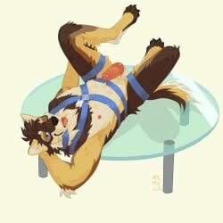 2025 absurd_res animal_genitalia animal_penis anthro balls blep blue_eyes brown_body brown_fur canid canine canine_genitalia canine_penis canis countershade_balls countershade_face countershade_feet countershade_genitalia countershade_neck countershade_torso countershading domestic_dog erection feet fur furniture genitals german_shepherd glass_table harness harness_only herding_dog hi_res knot knotted_penis looking_at_viewer lying male male_anthro mammal nipples nude nude_anthro nude_male on_back one_eye_closed pastoral_dog penis pink_penis remulle_(artist) sheath solo table tail tan_body tan_fur tongue tongue_out whiskers wink winking_at_viewer
