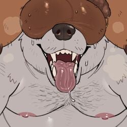 anthro balls balls_in_face bear big_balls bodily_fluids body_hair brown_body brown_fur canid canine chest_hair dripping fangs flaccid foreskin fur genital_fluids genitals huge_balls humanoid_genitalia humanoid_penis male male/male mammal open_mouth open_smile penis polar_bear precum precum_drip precum_string raccoon_dog roseonapot slightly_chubby slightly_chubby_anthro slightly_chubby_male smile tanuki teeth toast_(roseonapot) tongue tongue_out ursine