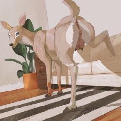 animal_genitalia animal_vulva anus ass black_nose blue_eyes cervine_genitalia cervine_vulva cloven_hooves cosmiclife deer female feral fur furniture genitals hi_res hooves inside looking_at_viewer looking_back looking_back_at_viewer mammal presenting presenting_hindquarters realistic_feral short_tail sofa solo tail tan_body tan_fur teats vulva