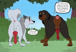 alaskan_husky animal_genitalia animal_penis anus ass badfurgood balls big_anus big_knot big_penis blush blush_lines bodily_fluids canid canine canine_genitalia canine_penis canis collar curled_tail dialogue domestic_dog dripping duo feral genital_fluids genitals ghost_(badfurgood) hi_res husky knot knotted_penis leaking_precum male male/male mammal mastiff molosser motion_lines nordic_sled_dog nub_tail outside park pawpads penis precum precum_drip presenting presenting_anus presenting_hindquarters presenting_penis rottweiler sheath small_balls spitz sweat sweatdrop tail vito_(badfurgood)