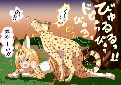 animal_humanoid anthro anthro_on_feral cat_humanoid feline feral human humanoid kemono_friends mammal mikomo serval_(kemono_friends) sex translation_request zoophilia