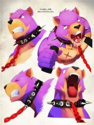 2016 anthro bear beastrancers black_nose bondage bound collar cum cum_in_mouth cum_inside cum_on_tongue english_text fur kurokawasudou leash male male_only mammal multiple_images muscular muscular_male nipples nude open_mouth purple_fur scar simple_background solo spiked_collar spikes sweat teeth text tongue