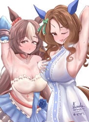 King Halo (Umamusume) Rule 34 Image