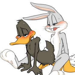 all_fours anal anal_sex anthro avian bird blush buckteeth bugs_bunny daffy_duck duck feathers from_behind_position fur furry lagomorph looney_tunes male male_only mammal pawpads penetration rabbit sex sitting soft_feathers sweat tears teeth warner_brothers whiskers yaoi zehn