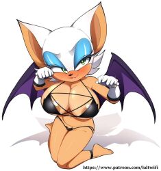 rouge the bat from sega by kdtwifi