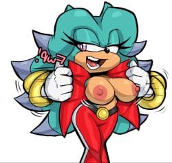 breezie the hedgehog from sega by guillion (toshkarts)