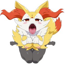 braixen from nintendo by the-sonic-x
