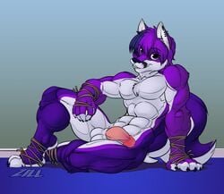 anthro balls canine erection folf fox humanoid_penis hybrid male male_only mammal nude penis shyloc solo wolf