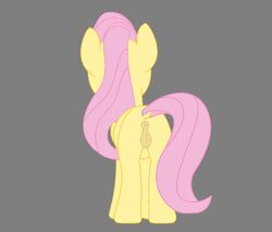 2017 alpha_channel animated anus blue_eyes cutie_mark equine feathered_wings feathers female feral fluttershy_(mlp) friendship_is_magic hair mammal my_little_pony pegasus pink_hair pussy simple_background solo tiarawhy transparent_background very_fast wings