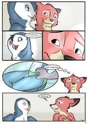 anthro avian bird canine casey_(tuke) close-up comic dialogue dirty_thoughts duo embarrassed english_text finger_poking fox furry gesture graham_(tuke) male mammal owl page_7 partially_submerged sitting speech_bubble speedo swimsuit text thought_bubble tuke water yaoi