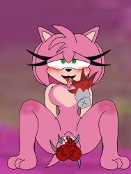 amy_rose consensual_sex cum_in_pussy cum_inside kolossos sonic.exe sonic.exe_the_disaster vaginal_sex