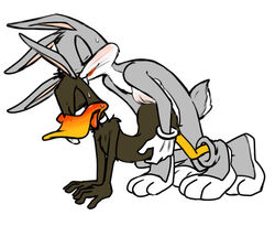 all_fours anal angry anthro avian bird blush buckteeth bugs_bunny bunny_costume closed_eyes daffy_duck duck feathers from_behind_position fur furry gay gloves lagomorph looney_tunes male male_only mammal open_mouth rabbit sex simple_background slippers soft_feathers sweat teeth tongue tongue_out torso_grab warner_brothers whiskers yaoi zehn