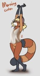 2017 black_fur blonde_hair bottomless breasts clothed clothing english_text female feretta feretta_(character) fur furry furry_only hair mammal orange_fur pussy red_panda see-through see-through_clothing shirt simple_background stretching tail tan_fur tank_top text topwear white_fur