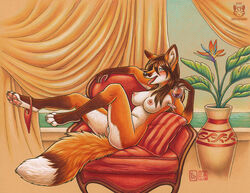 2017 alcohol anthro areola beverage big_breasts blush breasts brown_fur brown_hair canine chair claws clothing curtains dipstick_tail drapes drunk english_text female fluffy fluffy_tail fox fur glass gloves_(marking) hair holding_object inner_ear_fluff inside kacey legs_up lounging mammal markings multicolored_tail nipples nude open_mouth panties panties_around_one_leg pawpads pillow pink_nipples pink_pawpads plant pussy signature sitting smile solo text toe_claws tongue tongue_out traditional_media_(artwork) underwear water white_fur wine