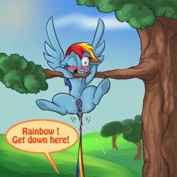 alorix animal_genitalia animal_pussy anus ass blush dialogue ejaculation equine female feral friendship_is_magic horse mammal my_little_pony orgasm outside pegasus pony pussy pussy_ejaculation pussy_juice rainbow_dash_(mlp) tail_pull tree wings