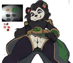 akunim anthro aya_blackpaw bear blizzard_entertainment breasts clothing_aside colored female fur hearthstone jade_lotus looking_down low-angle_view mammal mean_streets_of_gadgetzan pandaren pussy simple_background solo video_games warcraft white_background worm's-eye_view