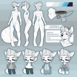 anthro balls canine chibi clothed clothing collar flaccid humanoid_penis looking_at_viewer male mammal model_sheet nude penis solo standing teil