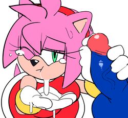 amy rose from sega by watatanza