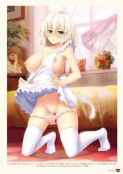 yuuri shachi from nora to oujo to noraneko heart by oozora itsuki