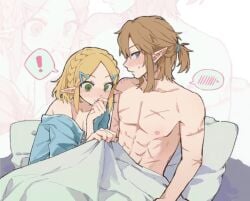 blushing link princess_zelda scars_on_body uni_520