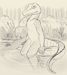 alligator anthro crocodilian feral flaccid forest greyscale line_art looking_at_viewer male male_only monochrome nude outside partially_submerged penis petrock reptile scalie sitting sketch slim solo solo_focus tree turtle