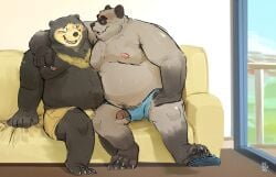 2026 absurd_res anthro bear black_body brown_body claws clothing detailed_background duo feet furniture genitals hi_res humanoid_hands lentejota male male/male mammal moobs nipples overweight overweight_male penis sitting sofa underwear