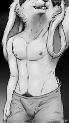 1boy biting_lip bulge clothed clothing erection gothic_cheese lagomorph male male_only mammal monochrome nipples pubes rabbit smile solo topless underwear