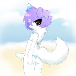 1:1 anthro beach bikini butt canid canine clothing eepydoggy fluffy fluffy_tail genitals hair hi_res kemono male mammal neck_tuft pattern_clothing penis pink_eyes purple_hair rear_view solo standing striped_clothing stripes swimwear tail tuft two-piece_swimsuit white_body