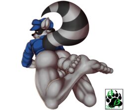 anthro ass balls blackbear bottomless clothed clothing male male_only mammal raccoon sly_cooper sly_cooper_(series) smooth_fur video_games