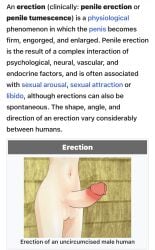 3d Rule 34 Image