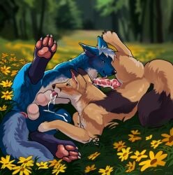 absurd_res animal_genitalia animal_penis binaryfox bodily_fluids canid canine canine_genitalia canine_penis canis clicky coyote cum duo fellatio feral feral_on_feral feral_penetrated feral_penetrating feral_penetrating_feral fox genital_fluids genitals hi_res jetraraven licking male male/male male_feral mammal oral pawpads paws penetration penile penis penis_lick sex spread_legs spreading tongue