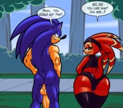 ass big_butt big_penis canastus echidna female hedgehog male mammal monotreme penis shade_the_echidna sonic_(series) sonic_the_hedgehog superbunnygt