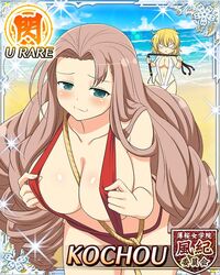 kochou (senran kagura) fan art