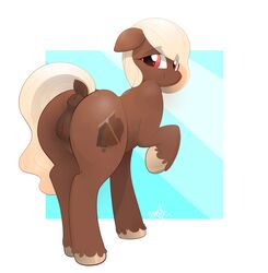 2017 absurd_res anatomically_correct anatomically_correct_pussy animal_genitalia animal_pussy anus ass braddo clitoris cutie_mark dock earth_pony equine equine_pussy fan_character female feral hair hi_res horse looking_at_viewer mammal my_little_pony pony pussy smile solo