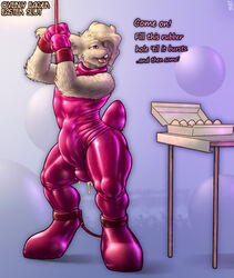 bondage bondage bound clothing egg erection lagomorph lube male mammal mot rabbit rubber shackles shiny suit