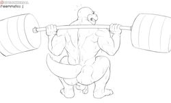 anthro ass back_muscles backsack bald balls barefoot circumcised clenched_teeth crouching dripping exercise flaccid humanoid_penis koopa koopaling line_art male male_only mario_(series) muscular nintendo nude penis perineum plantigrade rear_view roommates_(comic) roy_koopa scalie signature simple_background spelunker_sal straining sweat teeth weightlifting workout