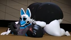 3d 3d_(artwork) animatronic anthro ass big_breasts big_nipples bigger_female breasts chilling duo female female_on_male five_nights_at_freddy's fox furry giant_ass huge_ass huge_breasts huge_nipples hyena hyper hyper_ass kiss kissing larger_female laying_on_person lovely lovely_female male male/female nipples_visible_through_clothing robot size_difference smaller_male source_filmmaker tight_clothing tyranfox tyranfox_(artist)