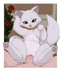 1boy 2d 2d_(artwork) 2d_artwork a_cat_is_fine_too animal_collar animal_sexualization bestiality cat collar digital_drawing_(artwork) digital_media_(artwork) duchess_(the_aristocats) flower hetero highres kekitopu penis rose sex stomach_bulge the_aristocats uncensored vaginal white_cat zoophilia
