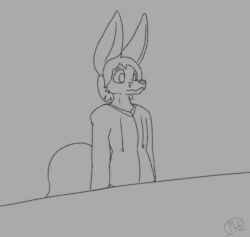 animated anthro balls bending_down big_balls big_ears bodily_fluids bottomless canid canine clothed clothing digital_media_(artwork) drawpile_(artwork) fennec_fox fox frame_by_frame furniture genital_fluids genitals hi_res hoodie hoodie_only huge_balls hyper hyper_balls hyper_genitalia lifting_balls looking_relieved male mammal mink_of_the_end precum precum_squirt serge_(oversizedfen) sketch_animation solo squigglevision standing table topwear topwear_only true_fox