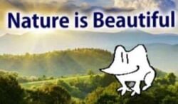 femboy frog gay nature nippet realbullshat
