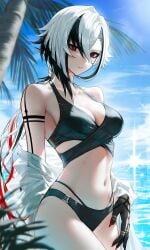 1girls 2d 2d_(artwork) ai ai_art ai_generated arlecchino_(genshin_impact) beach beach_background black_hair black_swimsuit day female female_focus female_only front_view genshin_impact light-skinned_female light_skin looking_at_viewer mature mature_female ocean outdoors palm_tree red_eyes red_nails sexy sky slim_girl solo solo_female solo_focus summer swimsuit tree two-tone_hair water white_hair