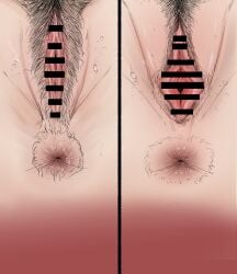 1girl 2girls 369_(editorsakura) anal_hair anus bar_censor clitoral_hood clitoris crotch female female_pubic_hair jujutsu_kaisen mai_zenin maki_zenin png pubic_hair pussy pussy_close-up pussy_comparison solo spread_vagina sweat vagina water_drop zenin_mai zenin_maki